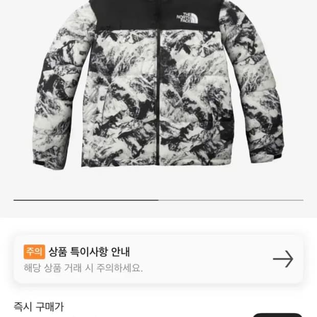 노스페이스 1996 노벨티 눕시