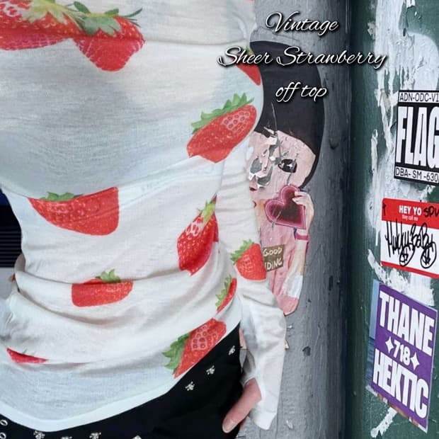 Vintage Sheer Strawberry off top