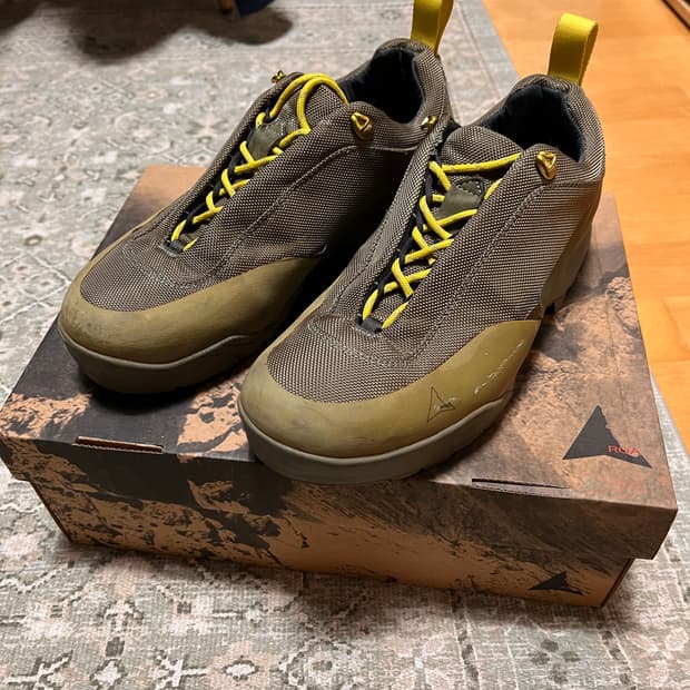 로아 친지노 세이지 그린