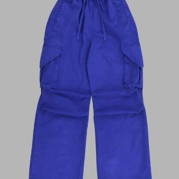 더뮤지엄비지터 바지