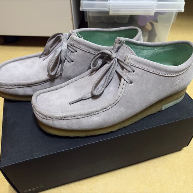 클락스 왈리비 260