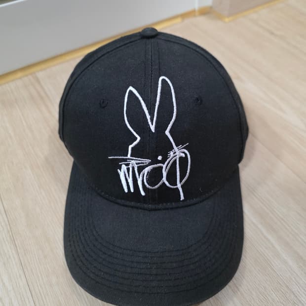 알렉산더 맥퀸 볼캡 모자 