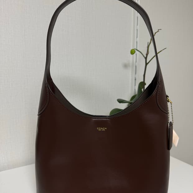 코치 브루클린 숄더 백 28 브라운