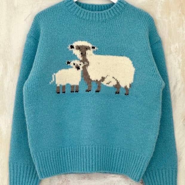 Cozy Sheep Wool Round Knit