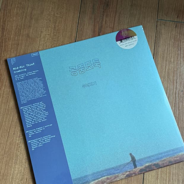 공중도둑 무너지기 lp