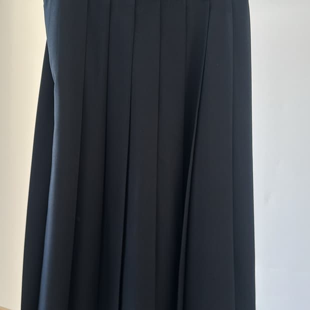 얼바닉30 웰플리츠스커트