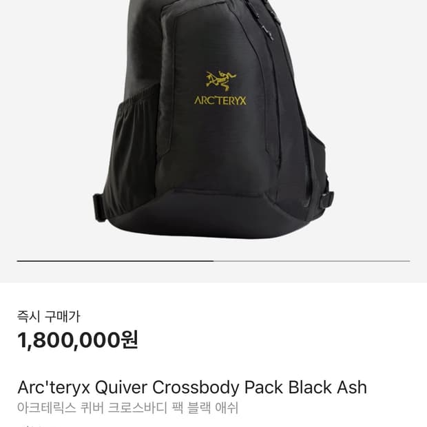 아크테릭스 시스템A 퀴버백