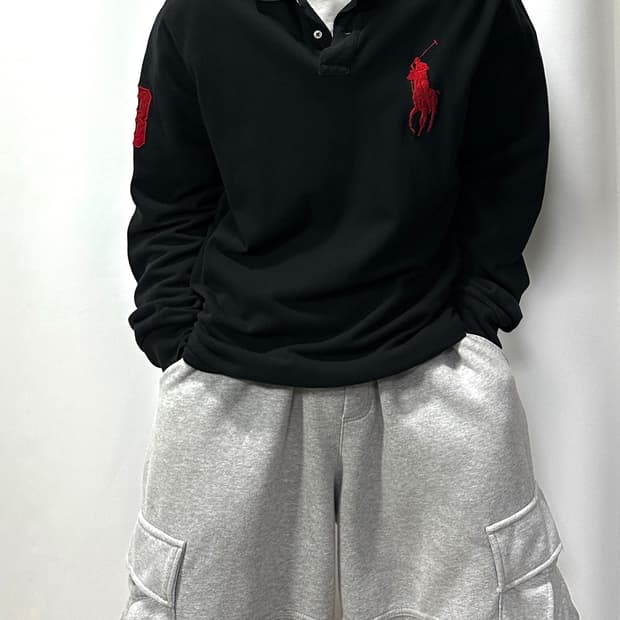 Polo 폴로 랄프로렌 빅포니 PK 카라티