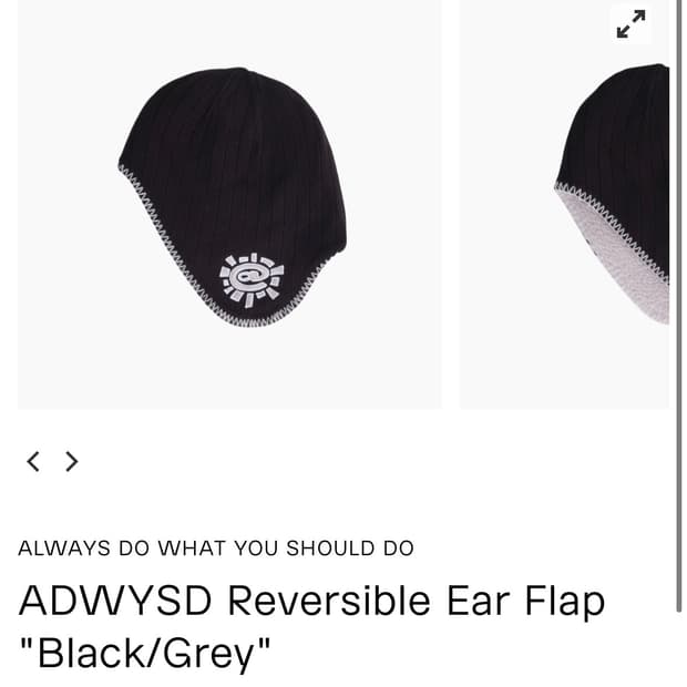 always do what you should do 이어플랩