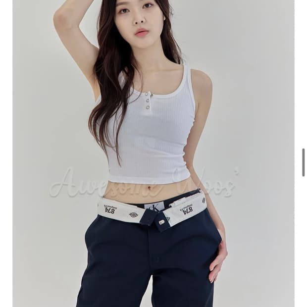 디키즈 873 워크 팬츠