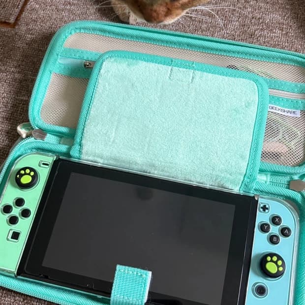 닌텐도 스위치 모동숲 에디션 