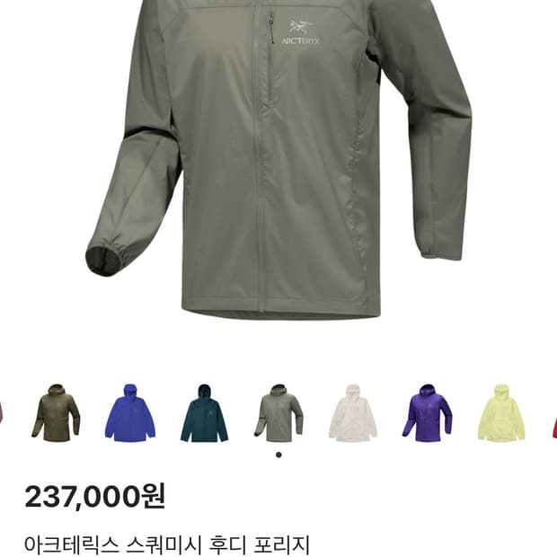 아크테릭스 스쿼미시 후디 포리지 M