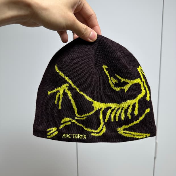 아크테릭스 버드 헤드 비니 급처