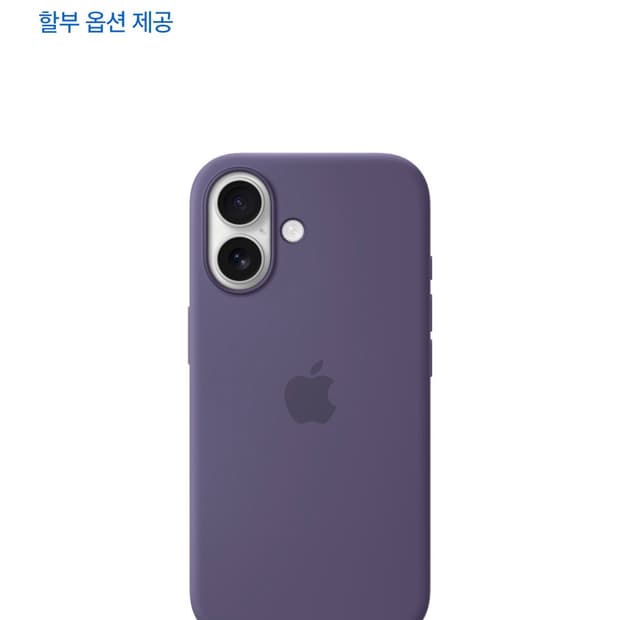 아이폰 17 정품 케이스