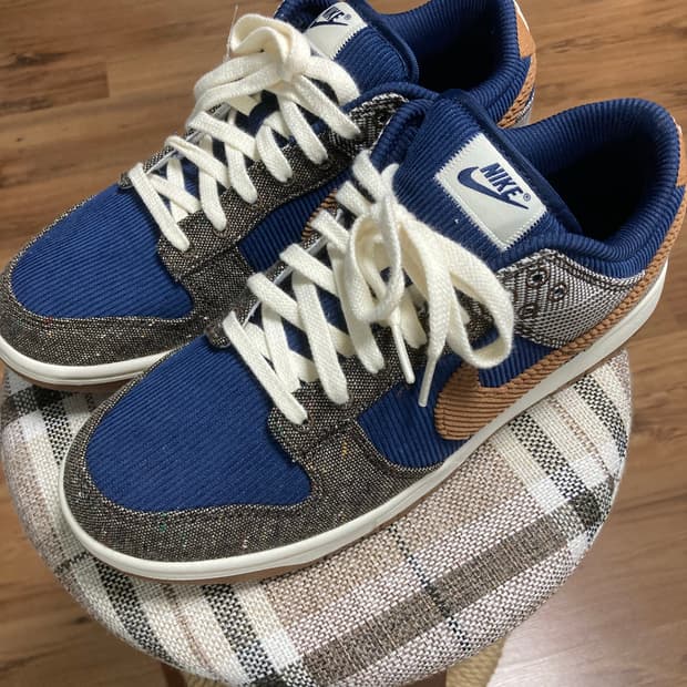 나이키 덩크로우 프리미엄 미드나잇 270