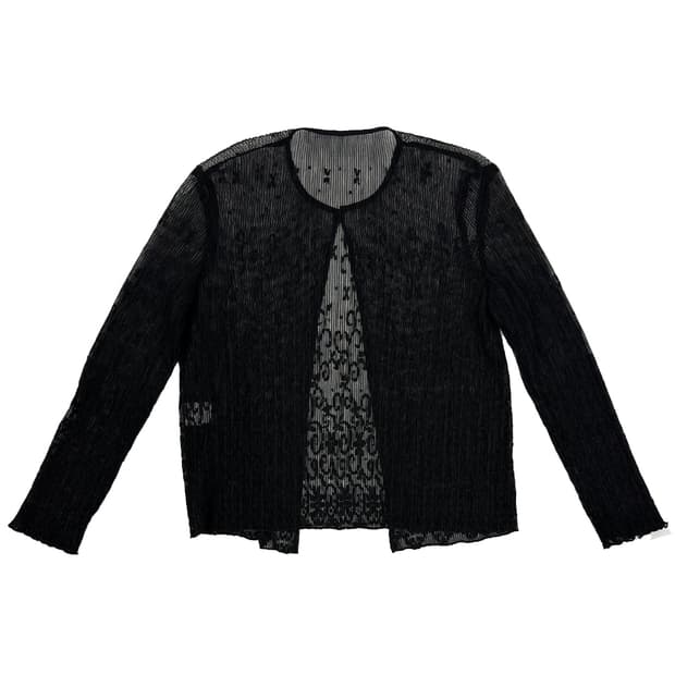 Vintage Sheer Pleated Lace Cardigan