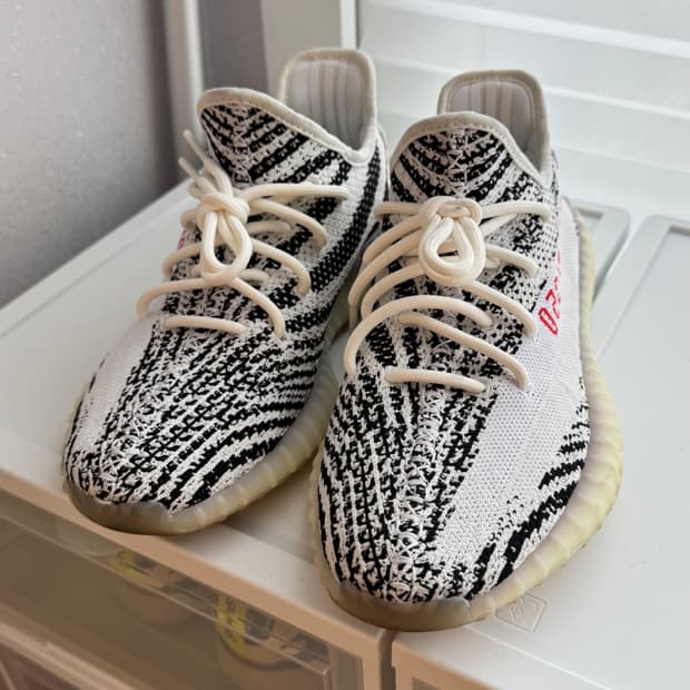 (US 8) 아디다스 이지 부스트 350 V2 지브라