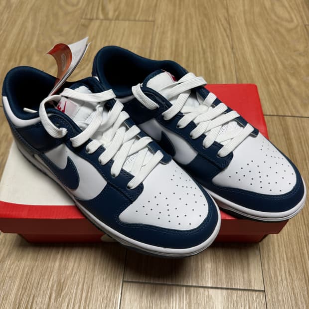 덩크 로우 레트로 발레리안 블루 265