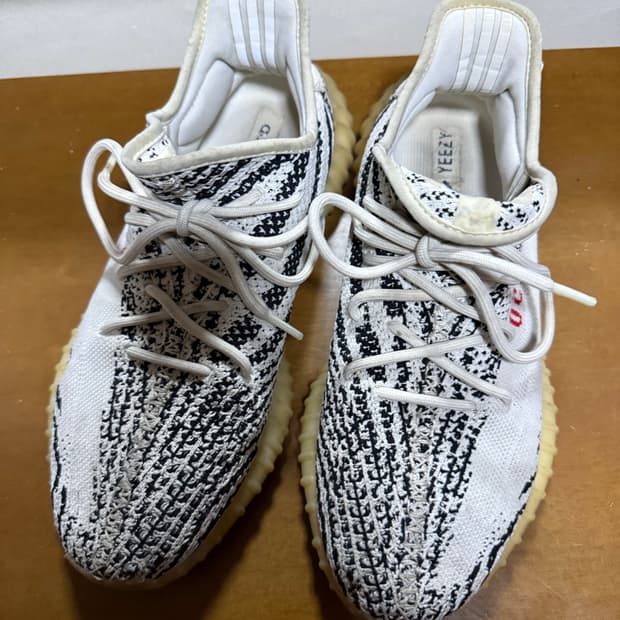 이지부스트 지브라