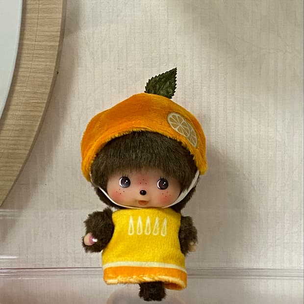 몬치치 베비치치 오렌지