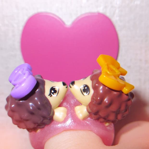 Hedgehog couple ring 🦔💋