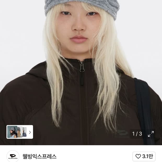 웰빙익스프레스 비니