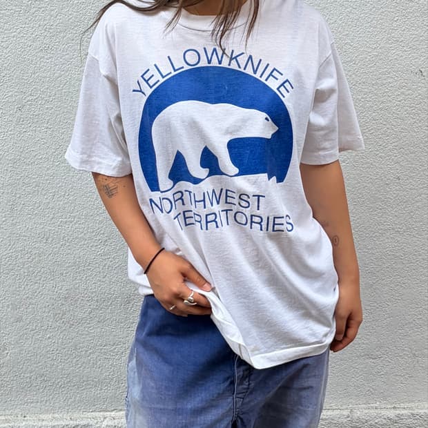 90s Yellowknife Northwest Territories 베어