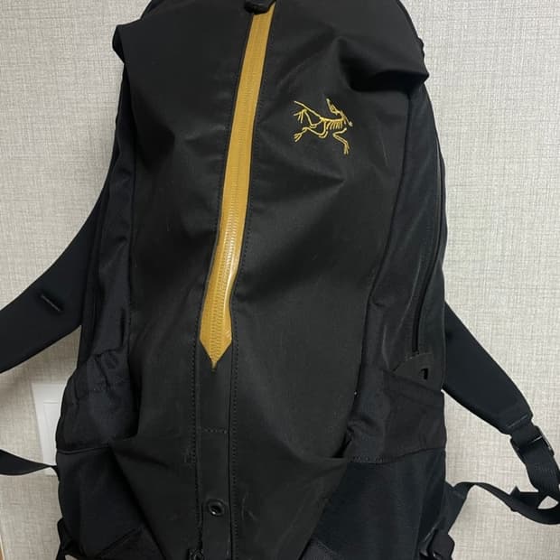 아크테릭스 아로 22 24K백팩