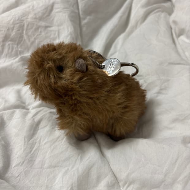 젤리캣 카피바라 키링