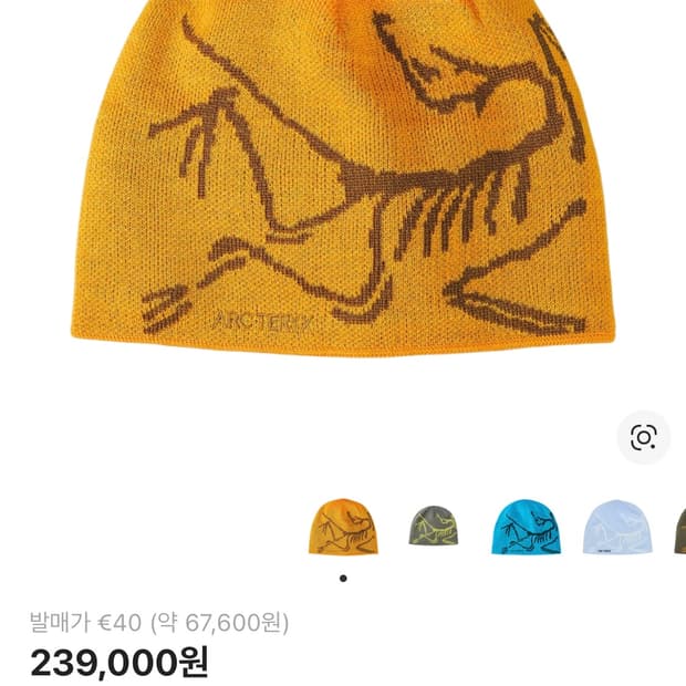 아크테릭스 비니 버드 헤드 토크 엣지자