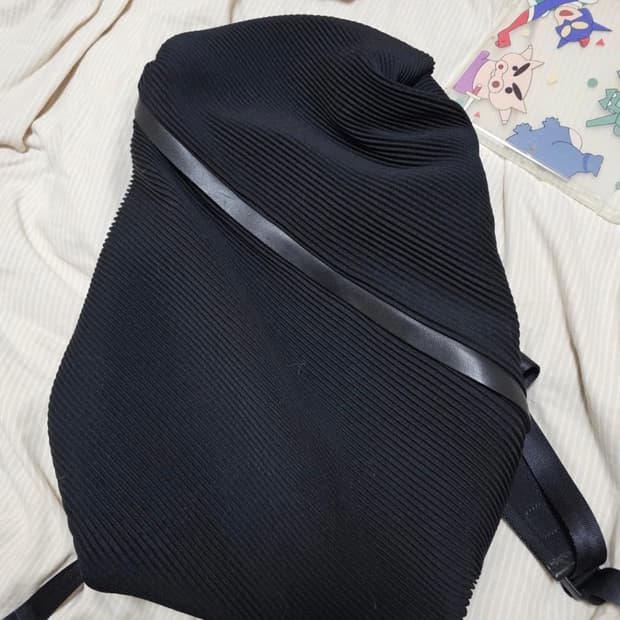 이세이미야케 플리츠 백팩