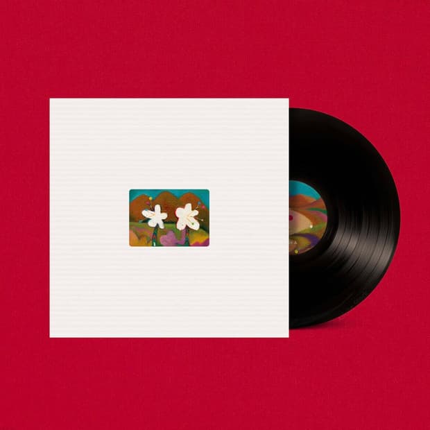 악동뮤지션 개화 lp