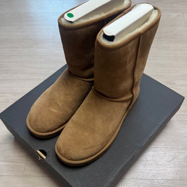 어그 클래식 쇼츠 체스트넛 280