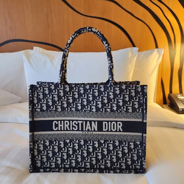 디올 book tote 스몰백