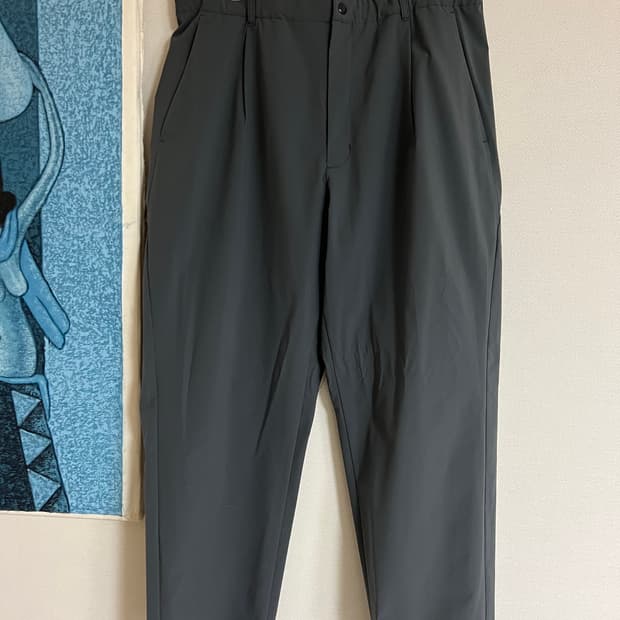 Goldwin 골드윈 원 턱 테이퍼드 라이트 팬츠 5사이즈