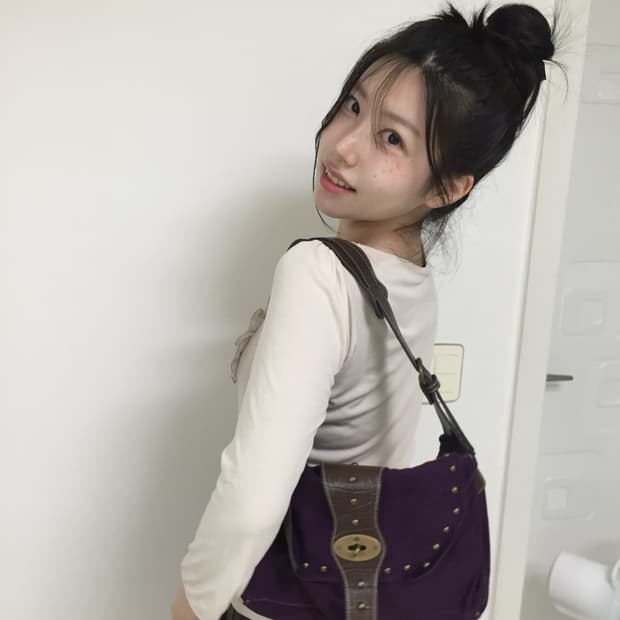 vintage velvet purple bag
