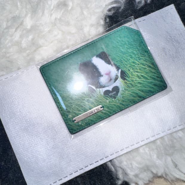 미세키서울 팝업 기니 지갑