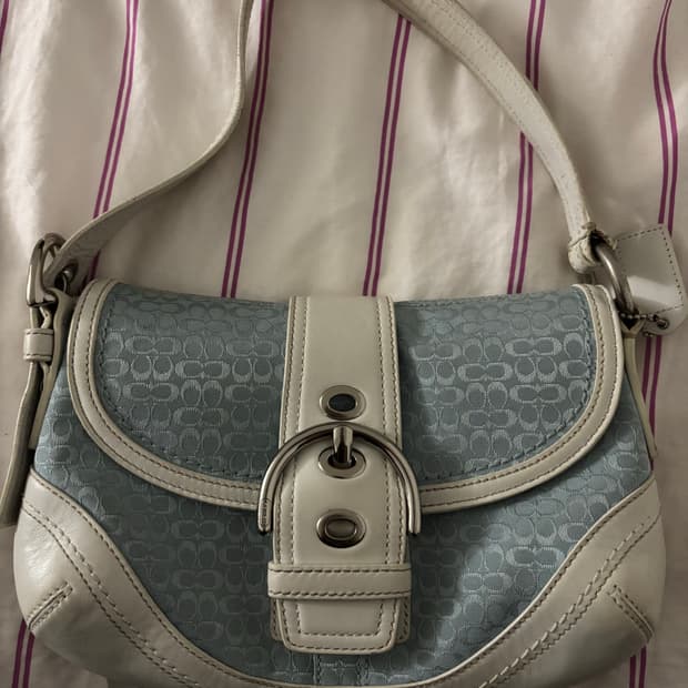 코치 핸드백 스카이블루