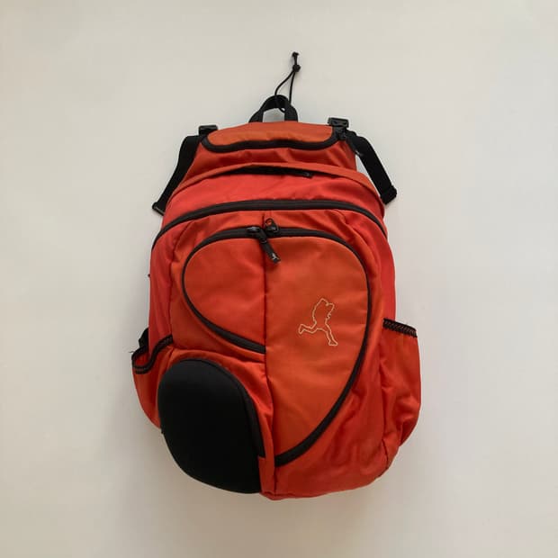 DANA DESIGN  EMERALD CITY BAG