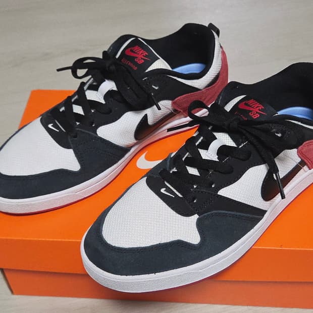 나이키 SB 앨리웁 유니버시티 레드