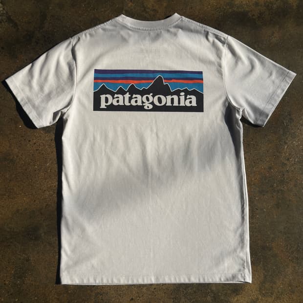 Patagonia Tee