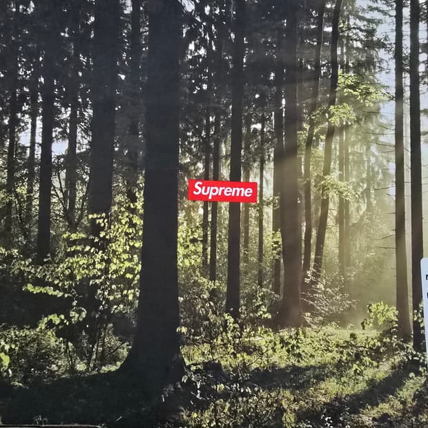 슈프림 x 팀버랜드 6인치  다이아몬드휠 부츠팝니다(미사용)