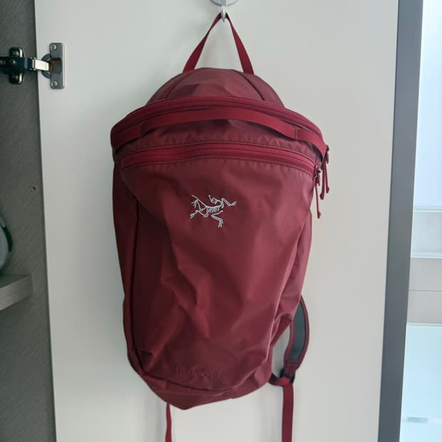 아크테릭스 헬리아드 15 보르도