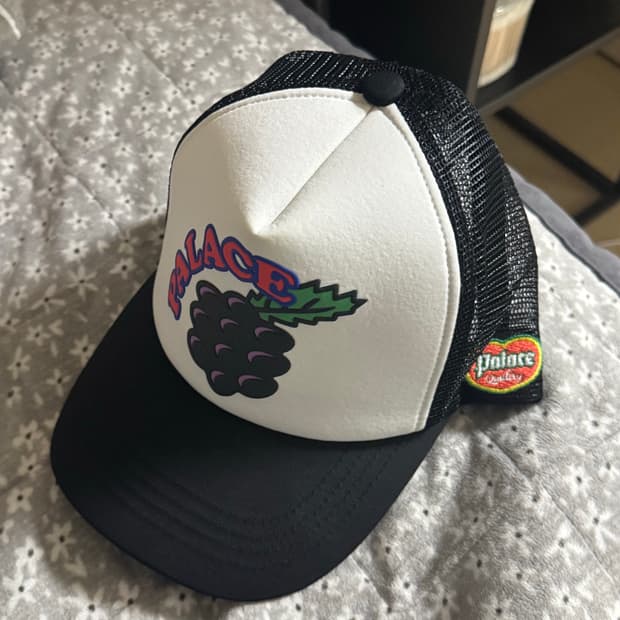 팔라스 그레이프 트러커 