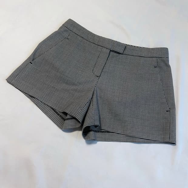 Theory pattern pants