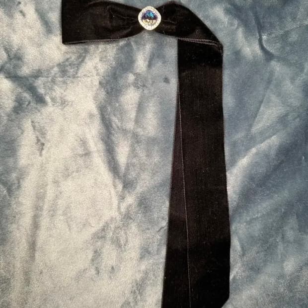 스왈스톤 벨벳 헤어핀