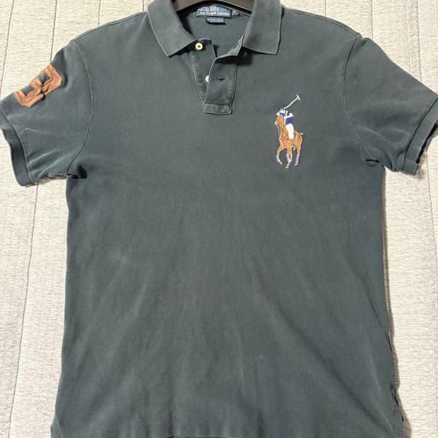 폴로 빅포니 카라티