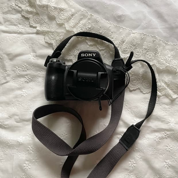 소니 사이버샷 DSC-HX1