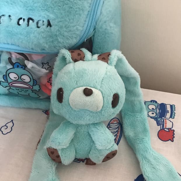 범용토끼 발렌타인 민트초코 인형 글루미베어