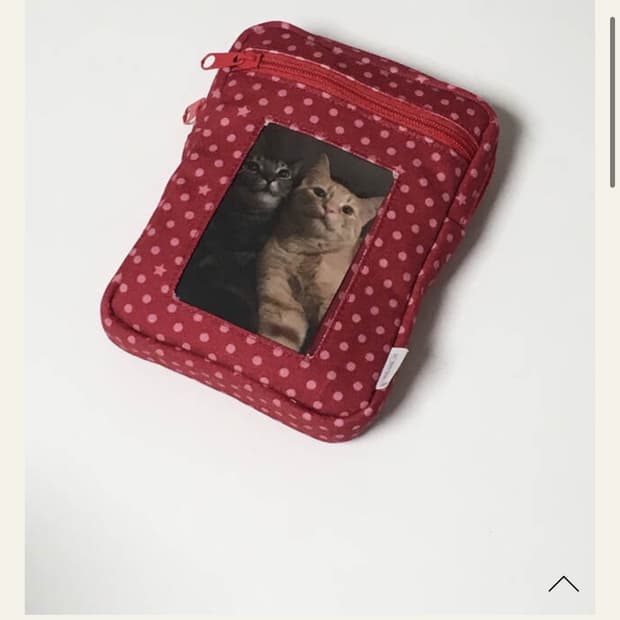 katze 캇제 파우치